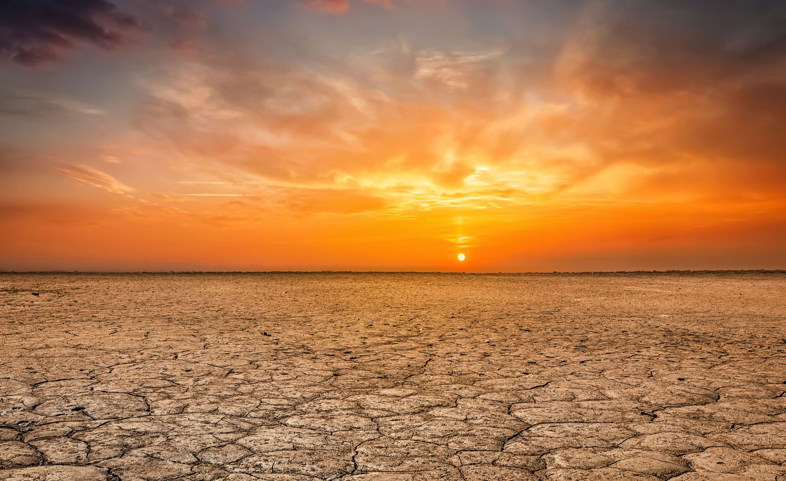 India to restore 5m hectares of degraded land by 2030