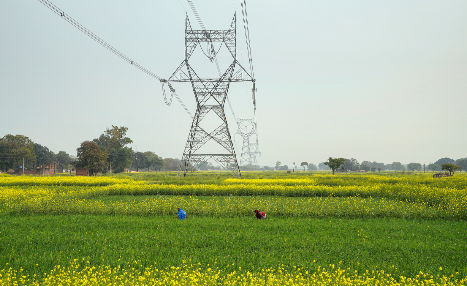 Agricultural growth powers increase in electricity consumption